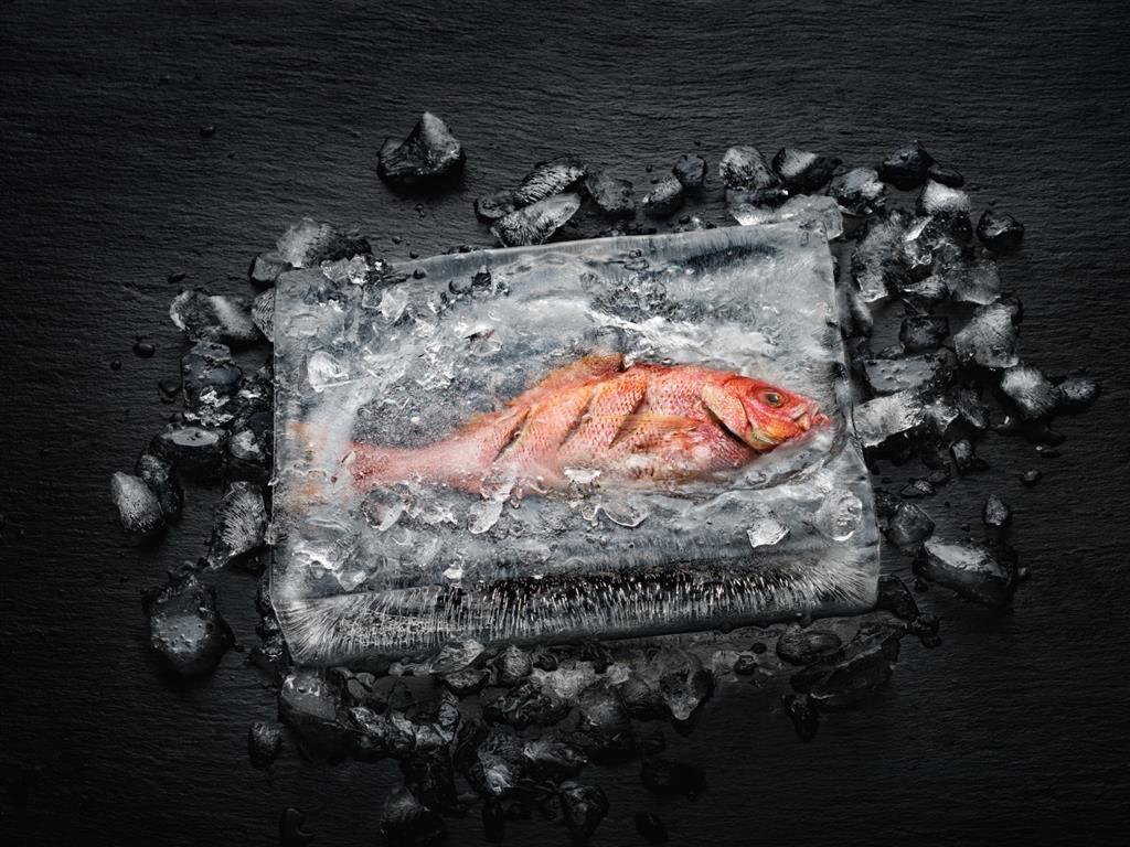Fisch in Eisblock